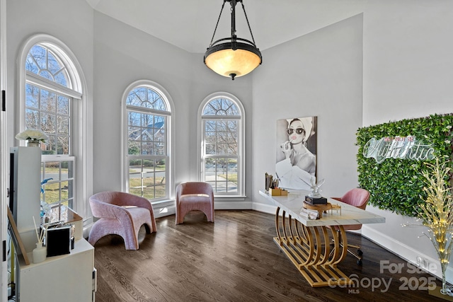 living area with dark hardwood / wood-style floors