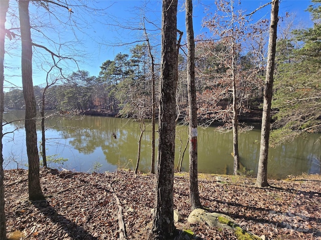 0 Whisper Lake Dr Unit 117, Badin Lake NC, 28127 land for sale