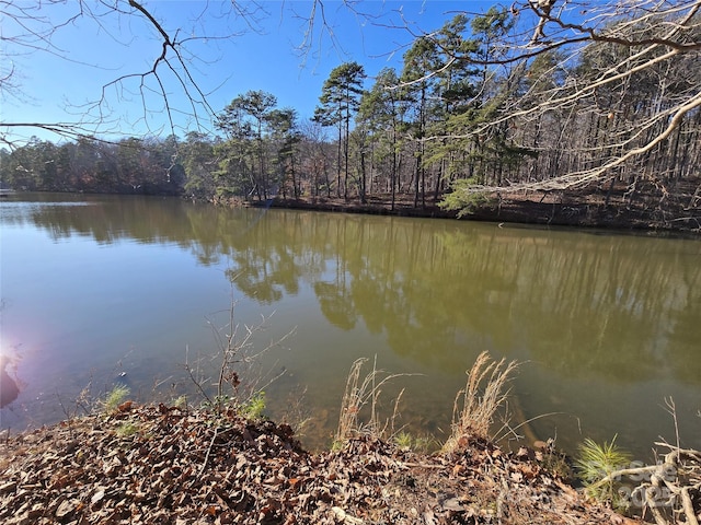 Listing photo 2 for 0 Whisper Lake Dr Unit 117, Badin Lake NC 28127