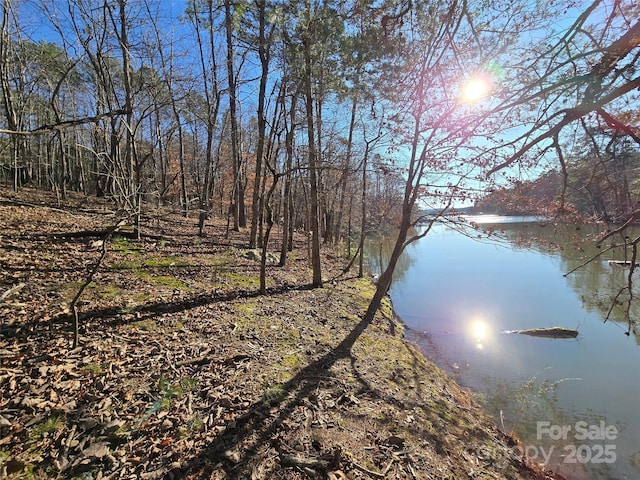 Listing photo 3 for 0 Whisper Lake Dr Unit 117, Badin Lake NC 28127