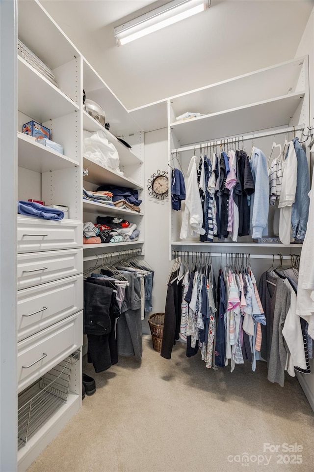 spacious closet with light carpet