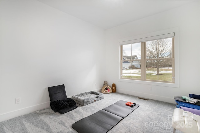 exercise room with carpet flooring