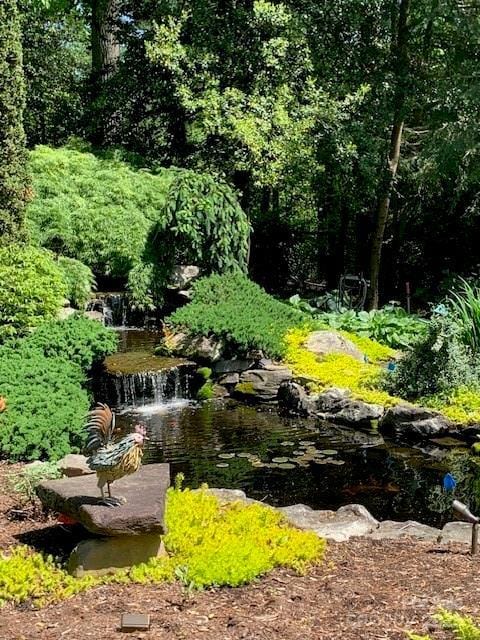 view of nature