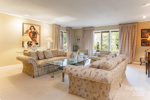 14 Stuyvesant Cres, Asheville, NC 28803 - living area featuring carpet, crown molding, and baseboards