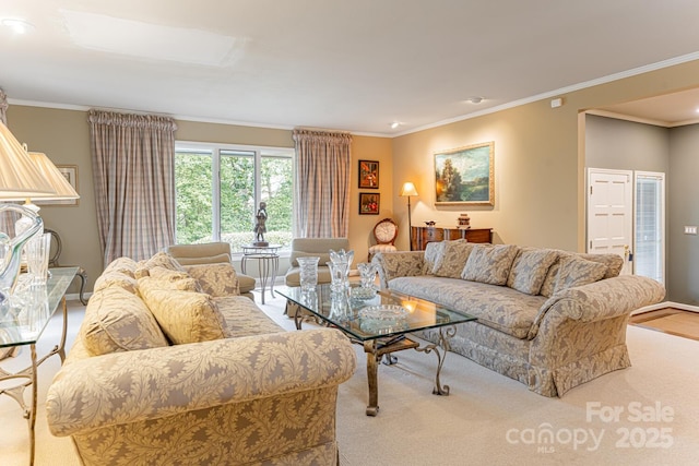 14 Stuyvesant Cres, Asheville, NC 28803 - living area with crown molding, baseboards, and carpet flooring