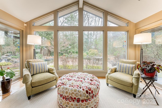 14 Stuyvesant Cres, Asheville, NC 28803 - sunroom / solarium with vaulted ceiling and wood finished floors