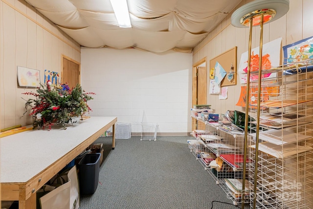 14 Stuyvesant Cres, Asheville, NC 28803 - miscellaneous room with carpet flooring and wooden walls