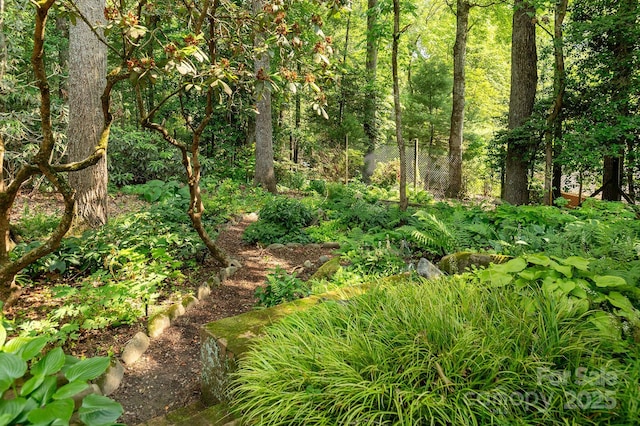 14 Stuyvesant Cres, Asheville, NC 28803 - view of wooded area