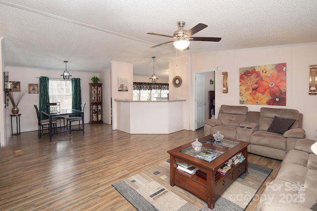 living room with wood-type flooring, a textured ceiling, and a wealth of natural light