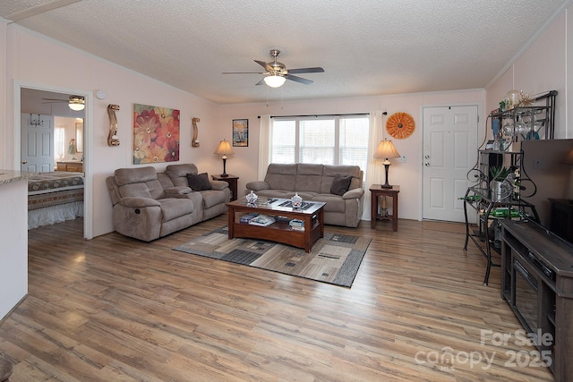 living room featuring wood-type flooring, ceiling fan, and a textured ceiling