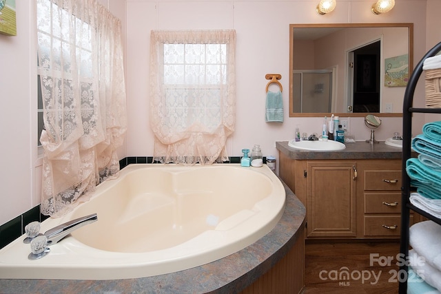 bathroom with vanity, hardwood / wood-style flooring, and independent shower and bath