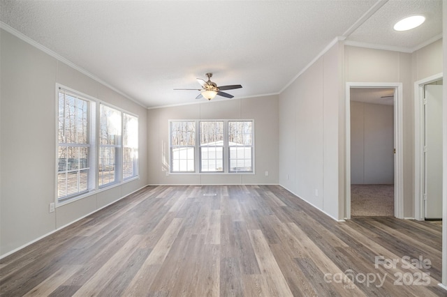 interior space featuring wood-type flooring, a textured ceiling, crown molding, and lofted ceiling