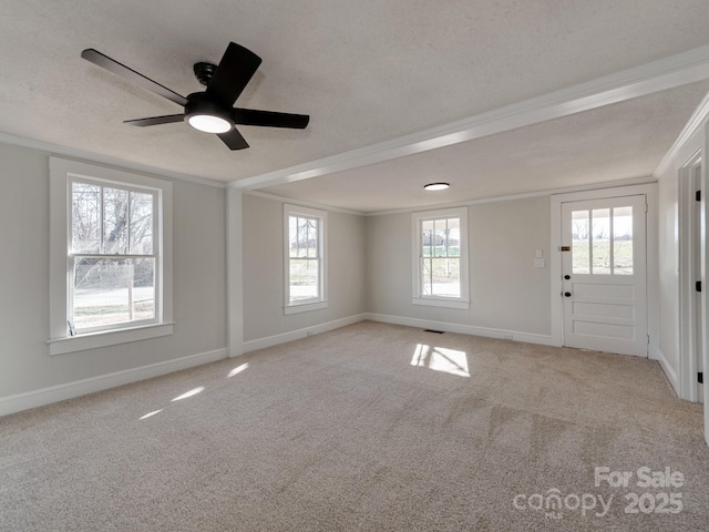 carpeted spare room featuring crown molding and a textured ceiling