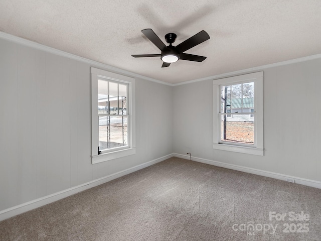 carpeted empty room with crown molding, plenty of natural light, and a textured ceiling