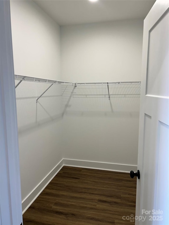 walk in closet with dark hardwood / wood-style flooring