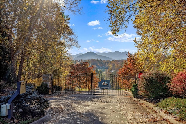 view of gate with a mountain view