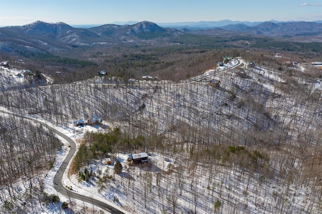 aerial view with a mountain view