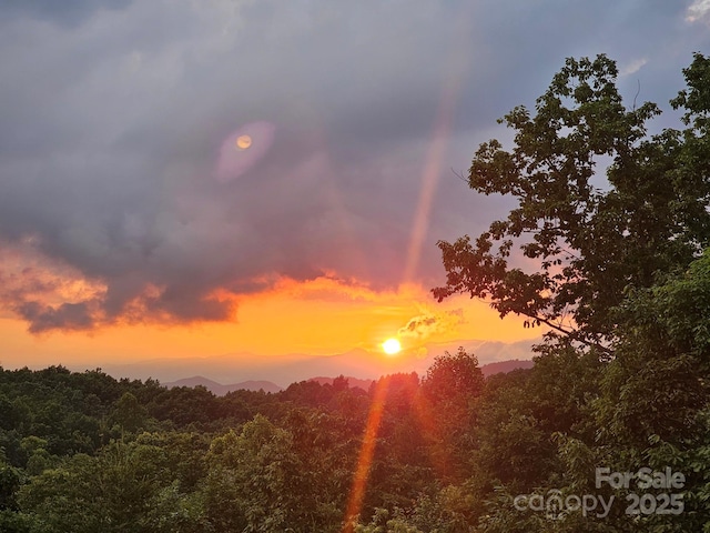 view of nature at dusk