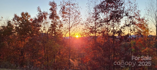 view of nature at dusk