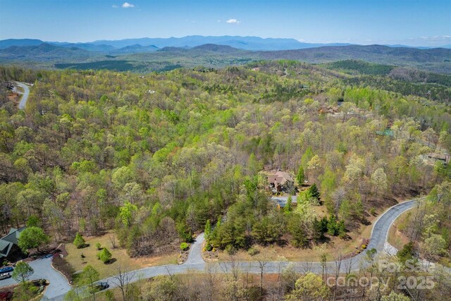 1186 Grandview Peaks Dr, Nebo, NC 28761 - photo 44