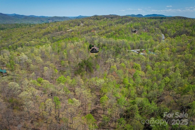 bird's eye view with a forest view and a mountain view