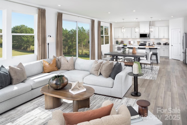 living room featuring light hardwood / wood-style flooring