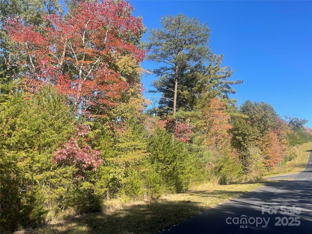 Listing photo 3 for LOT46 Bald Eagle Ln Unit 46, Marion NC 28752