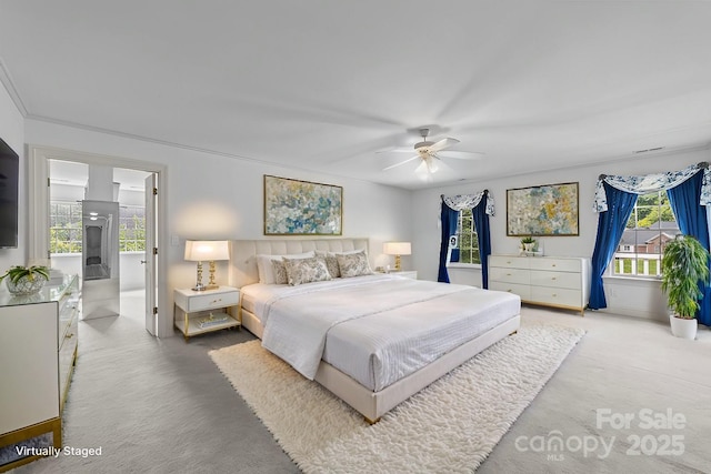 carpeted bedroom with multiple windows and ceiling fan