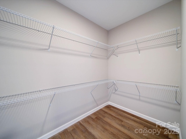 walk in closet with hardwood / wood-style floors