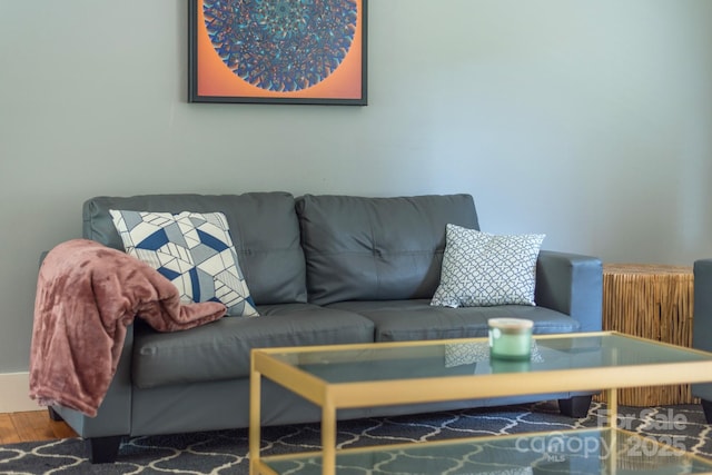 living room featuring hardwood / wood-style flooring