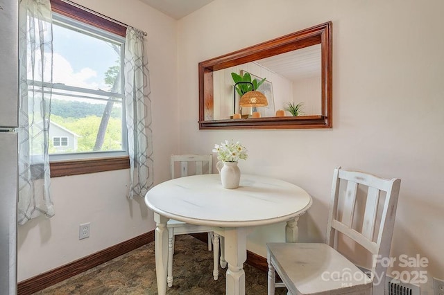 28 Robindale Ave, Asheville, NC 28801 - dining area with baseboards and stone finish floors