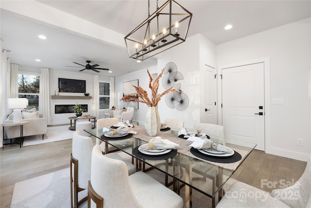 dining space with ceiling fan and light hardwood / wood-style floors