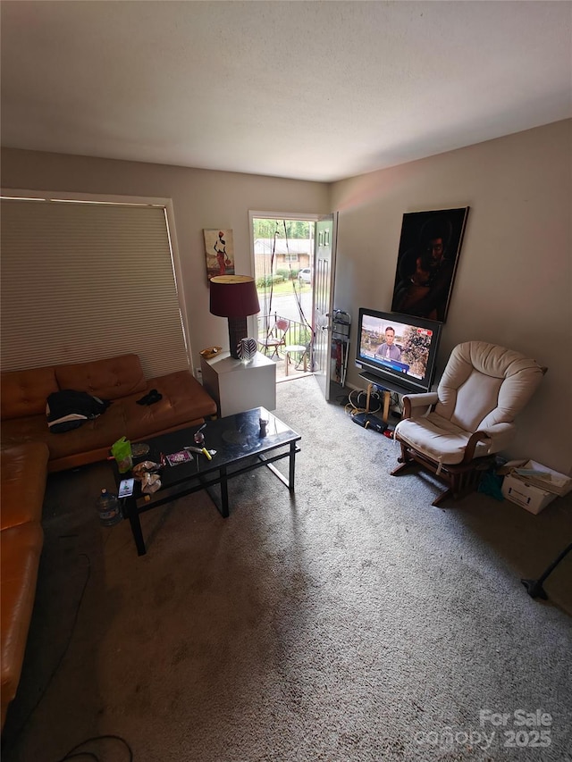 living room featuring carpet