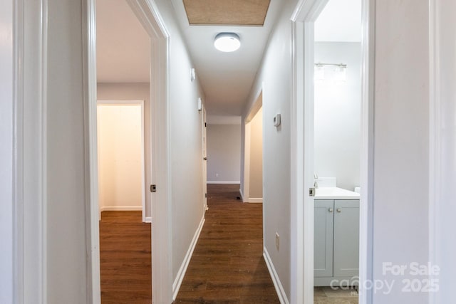 hall featuring dark hardwood / wood-style floors and sink