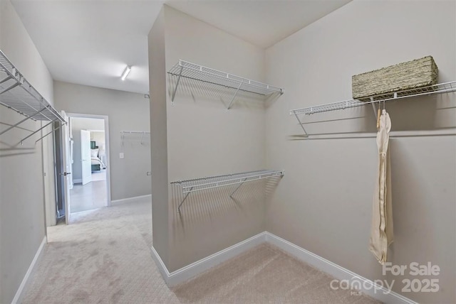 walk in closet with light colored carpet