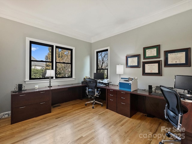 office space featuring crown molding and light wood-type flooring