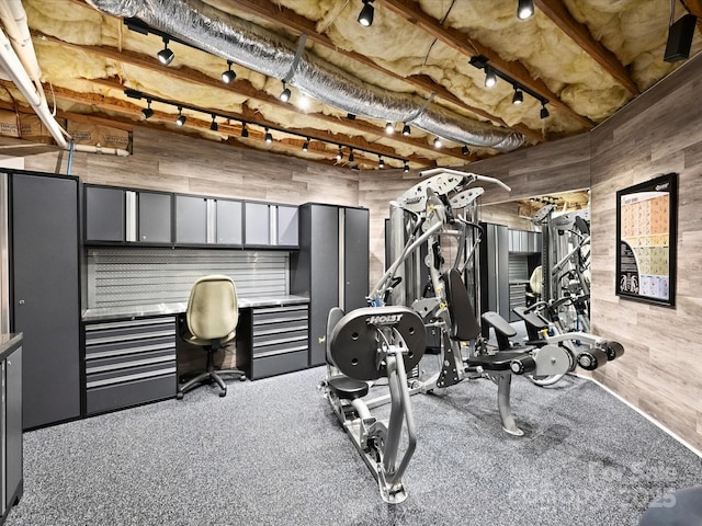 exercise room featuring wooden walls and track lighting