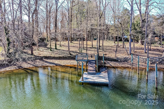 dock area featuring a water view