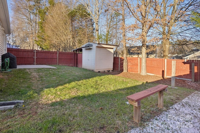 view of yard with a storage unit