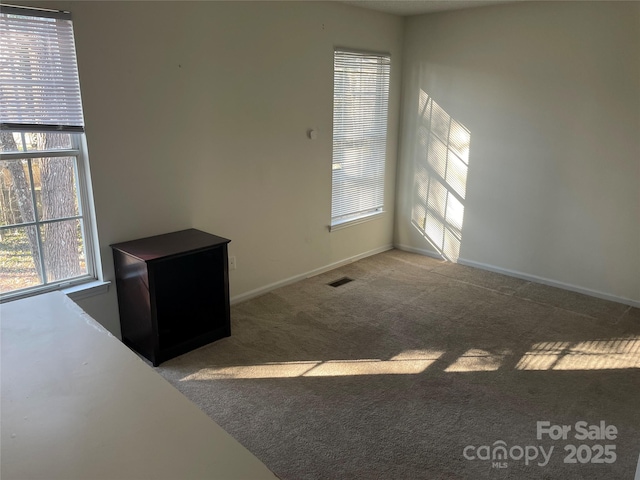 view of carpeted spare room