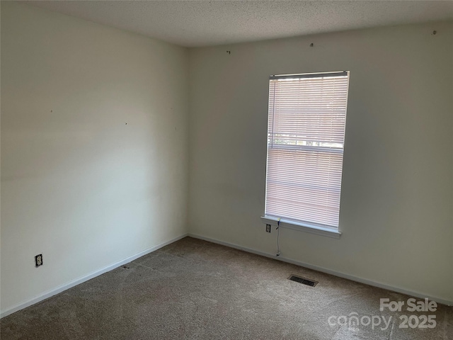 carpeted empty room featuring plenty of natural light and a textured ceiling