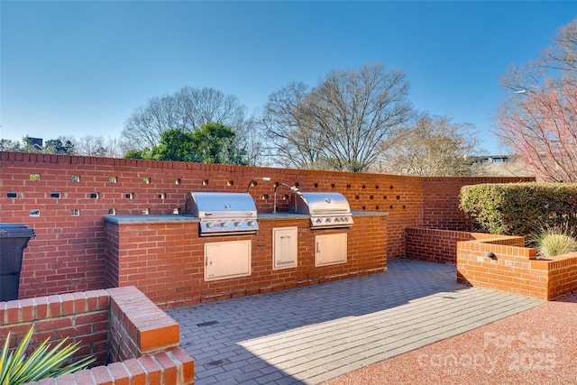 view of patio / terrace with area for grilling and grilling area