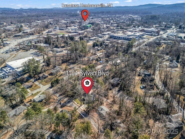 1104 Sylvan Blvd, Hendersonville, NC 28791 - photo 7