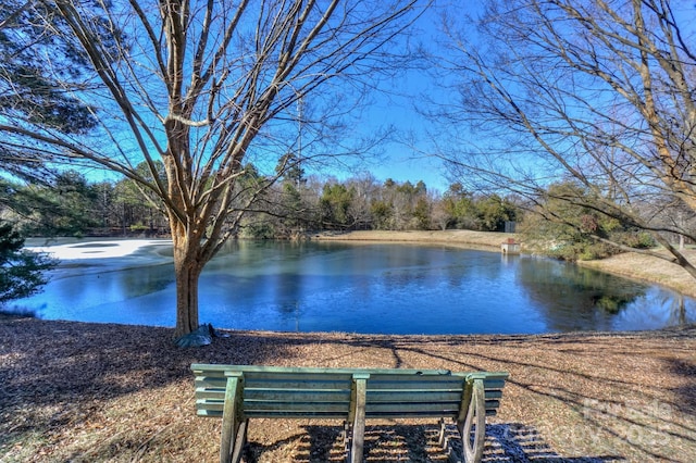 view of water feature