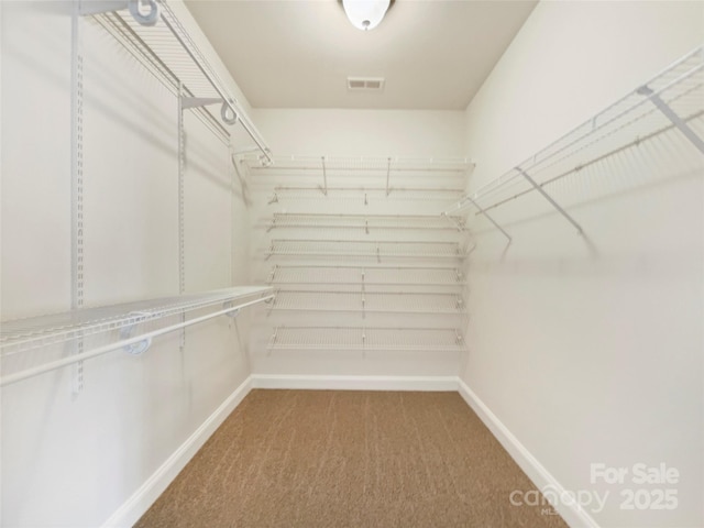 spacious closet featuring carpet flooring