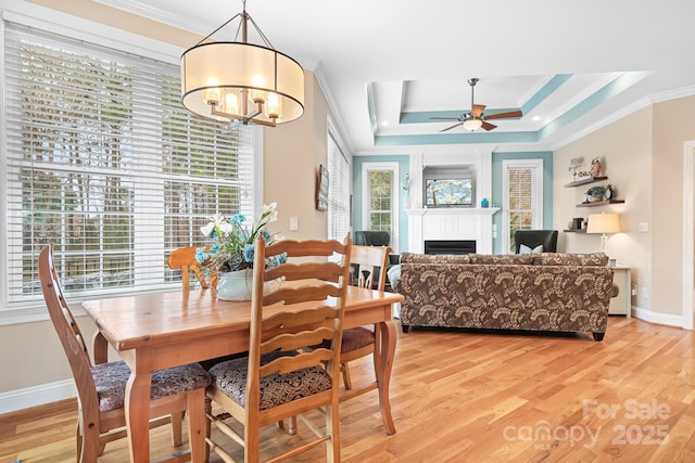 dining space with crown molding, a tray ceiling, ceiling fan with notable chandelier, and light wood-type flooring