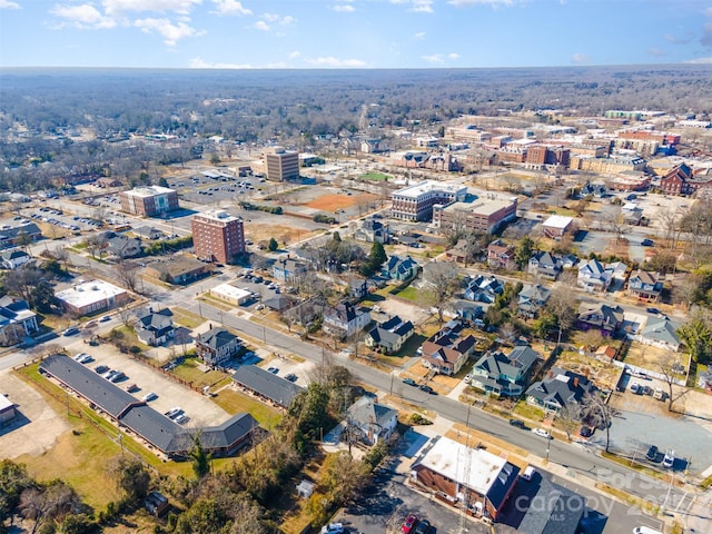 bird's eye view