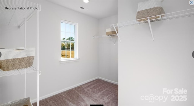 spacious closet with carpet flooring