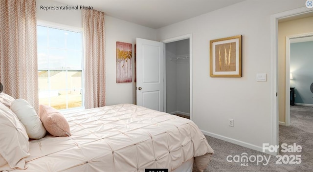 bedroom featuring carpet floors and a closet