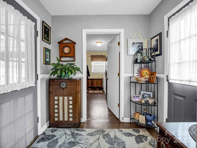 foyer entrance featuring dark wood-type flooring